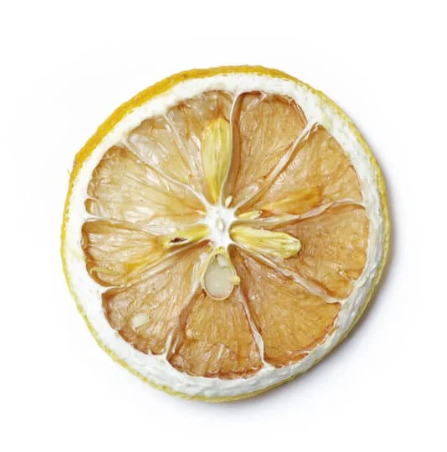 Dehydrated Lemon